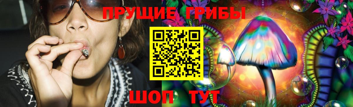 Уварово  Галлюциногенные грибы Psilocybe  Вход с VPN  Псилоцибиновые грибы мухоморы 
